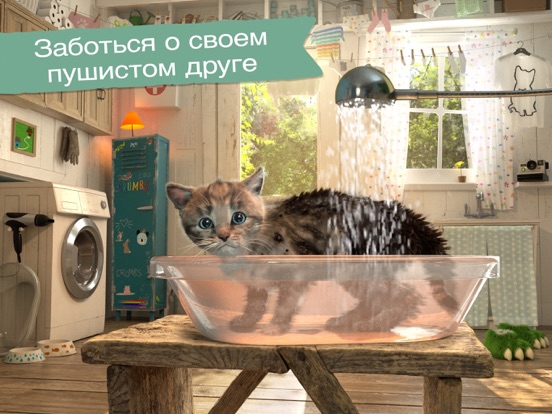Маленький котенок- Приключения iPad screenshot 3