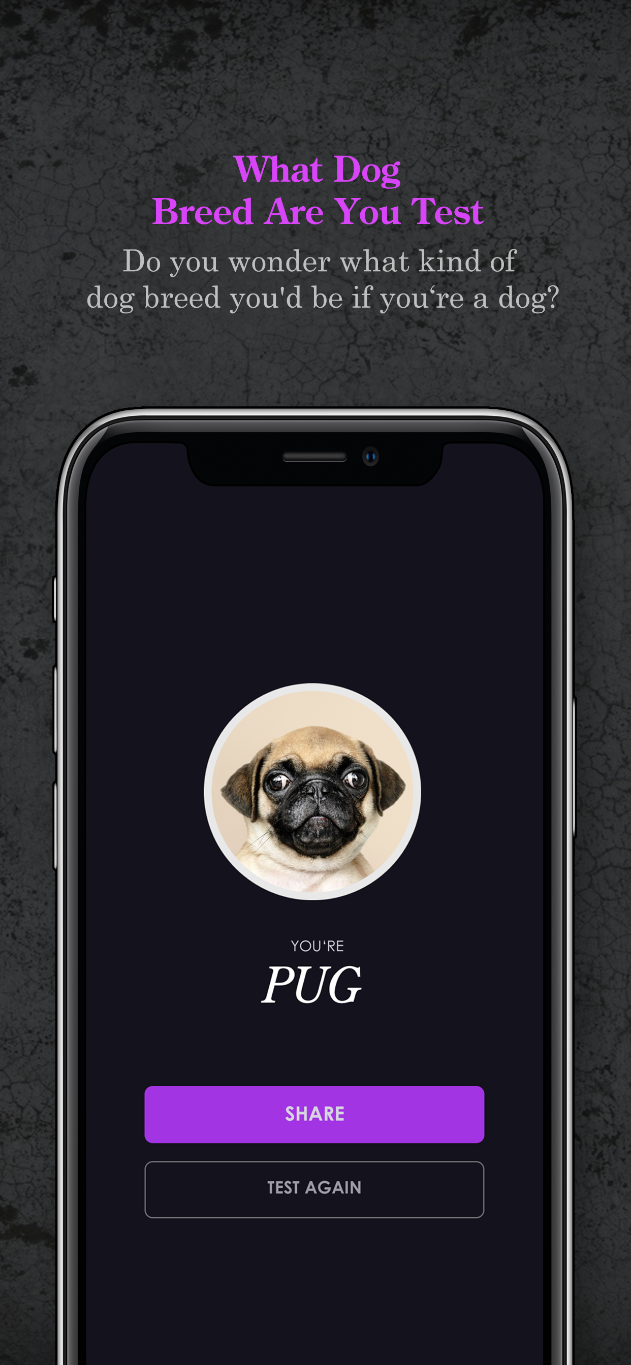 Animal, Hidden Power, Dog Test