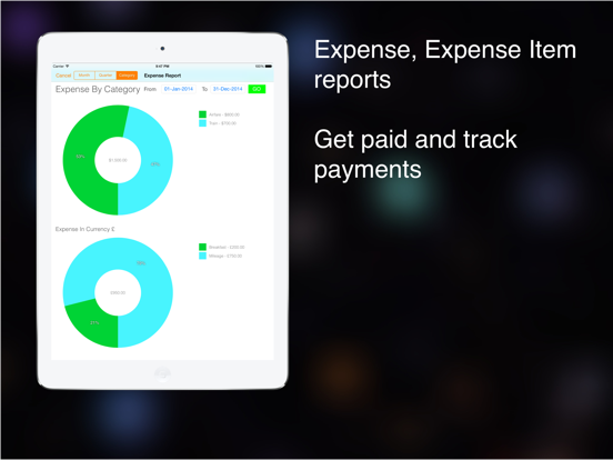 BusinessTravel Expense Track iPad screenshot