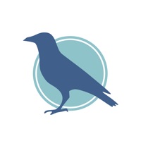 RavenHaven Services sur PC
