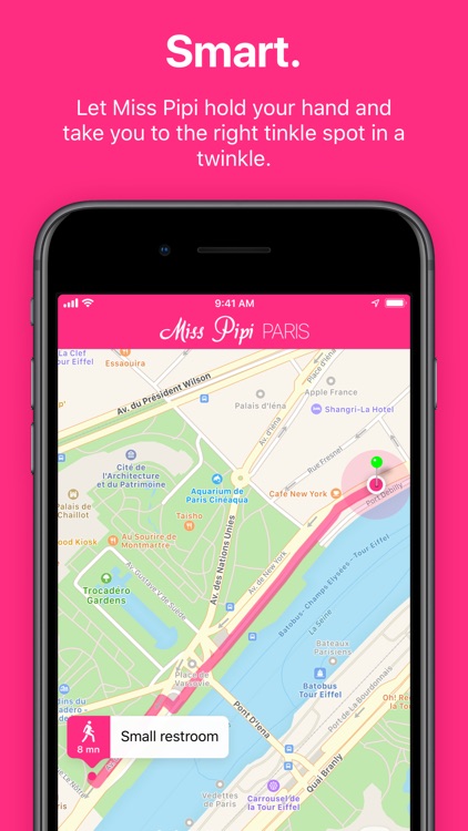 Toilets in Paris by Miss Pipi