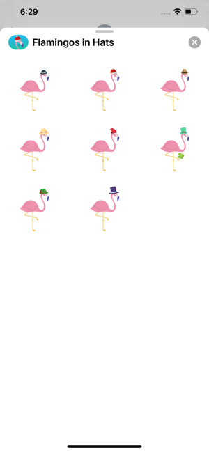 Flamingos in Hats
