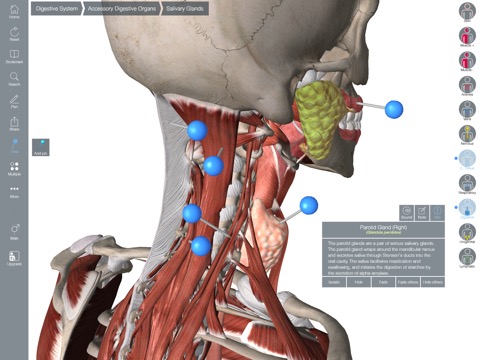 Essential Anatomy 5のおすすめ画像2