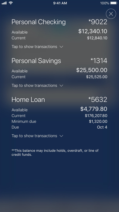 Dort Financial Mobile Banking Screenshot