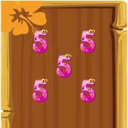 NumberCountWithOption