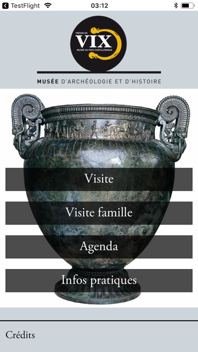 Screenshot #2 pour Musée du Trésor de Vix – guide