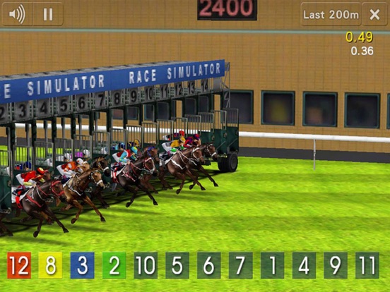 Race Simulator iPad screenshot 3 - Sports app