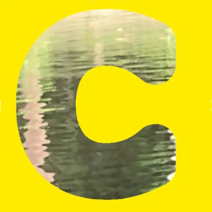 My Color Palette with Photos Читы
