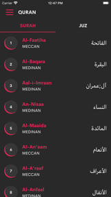 Al Quran in Urdu screenshot