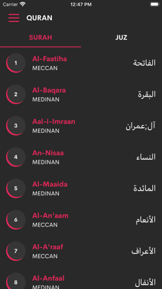 Al Quran in Urdu screenshot 1