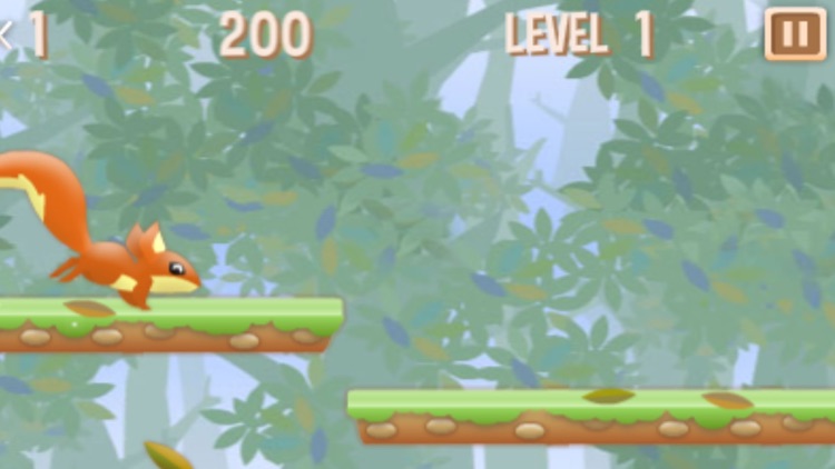 Orange forest squirrel