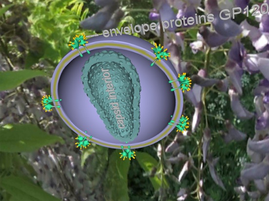Bio Virus Structure in 3D iPad screenshot