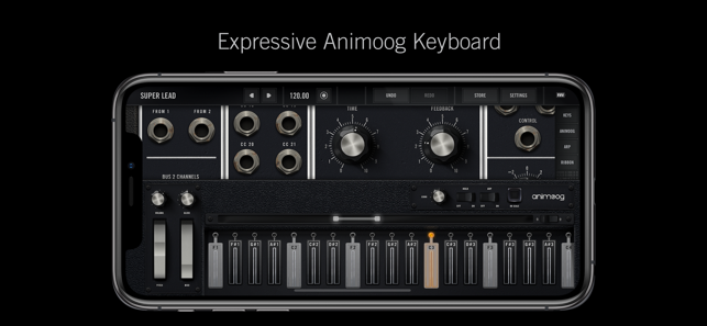 Model 15 Modular Synthesizer Screenshot