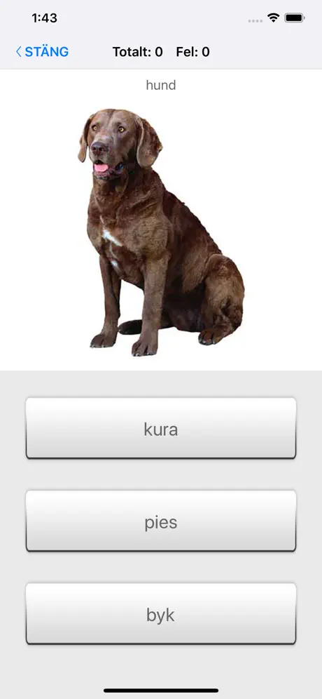 Lär dig polska ord med ST