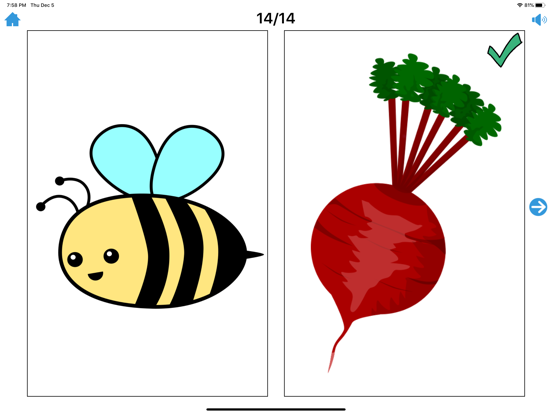 Minimal Pairs/Final Consonants iPad screenshot 4 - Education app