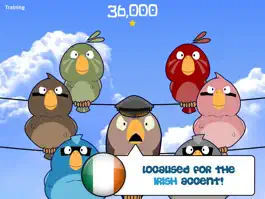 Game screenshot Feather Squadron: Ireland mod apk