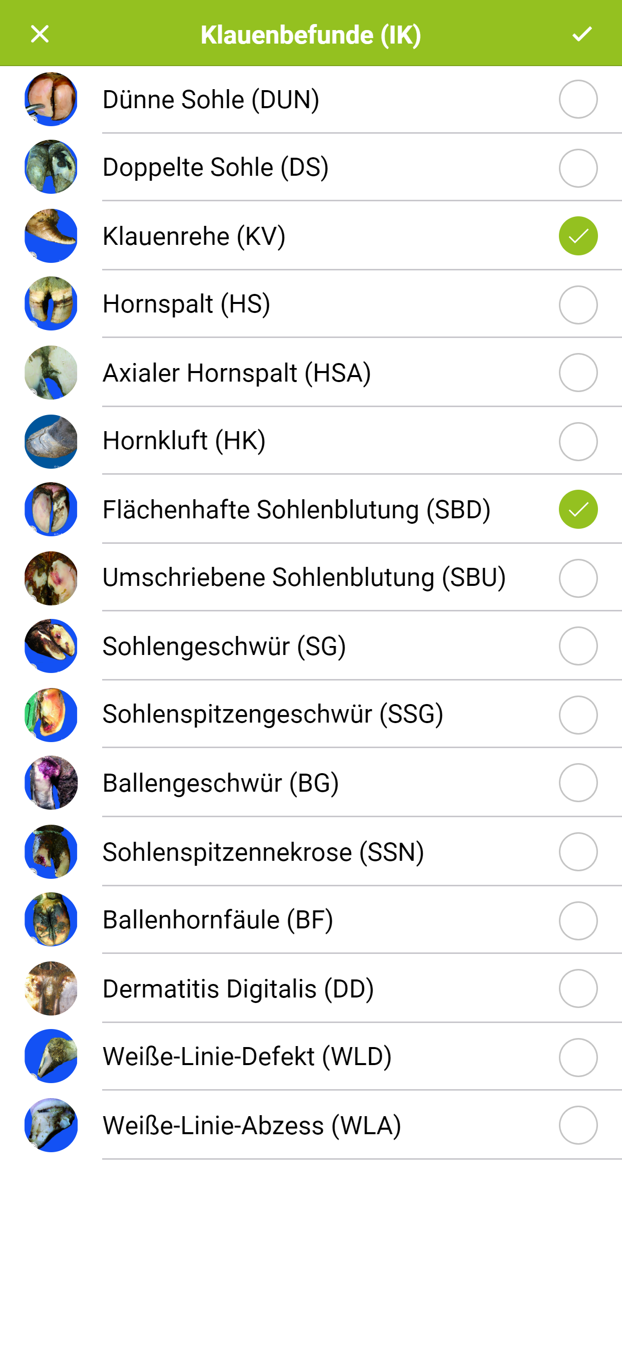 Klauenprofi screenshot 4