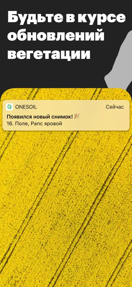 OneSoil: мониторинг полей