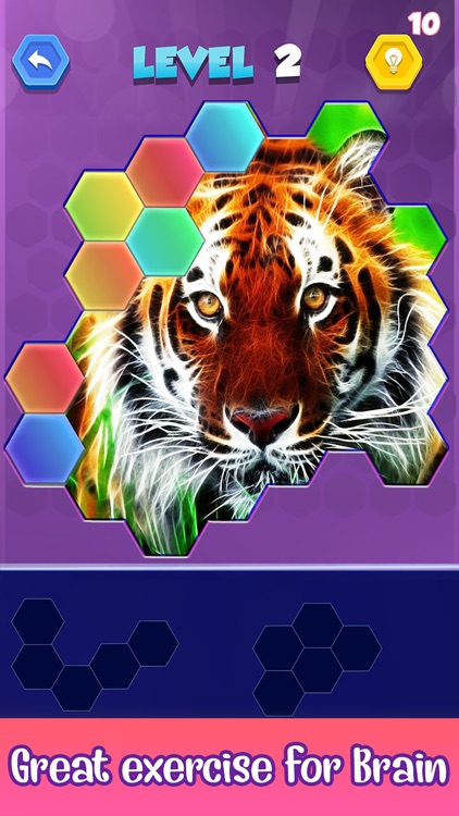 Jigsaw Hexa Puzzle Art screenshot-7