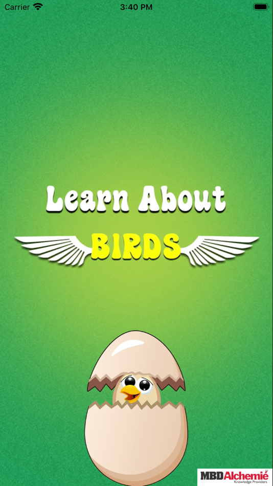 Learn bird