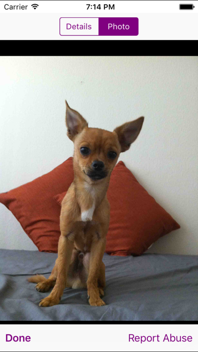 Screenshot #2 pour Pawesome