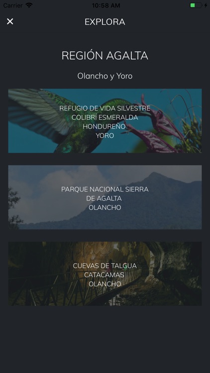 CoffeeTour Hn screenshot-7