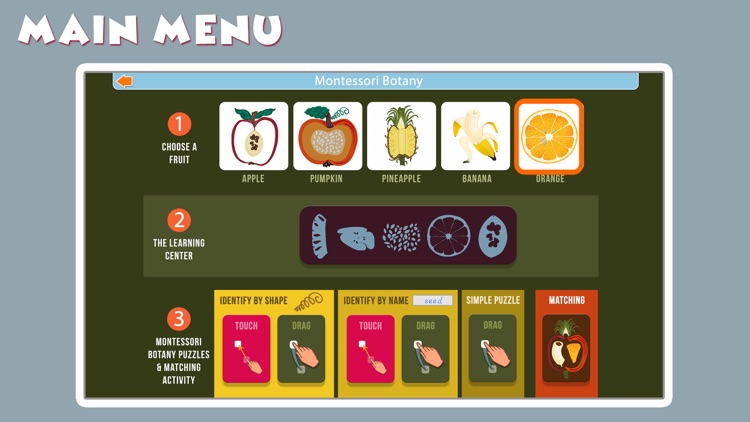 Montessori Parts of Fruits screenshot-6