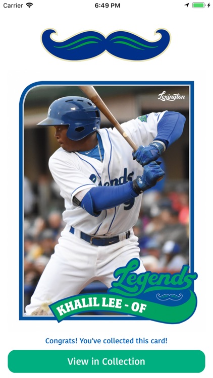 Lexington Legends Experience