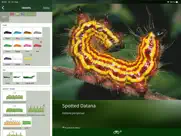 caterpillar id usa east coast ipad capturas de pantalla 3