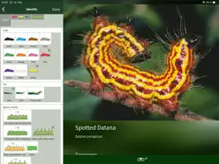 Caterpillar Id USA East Coast iPad image 3
