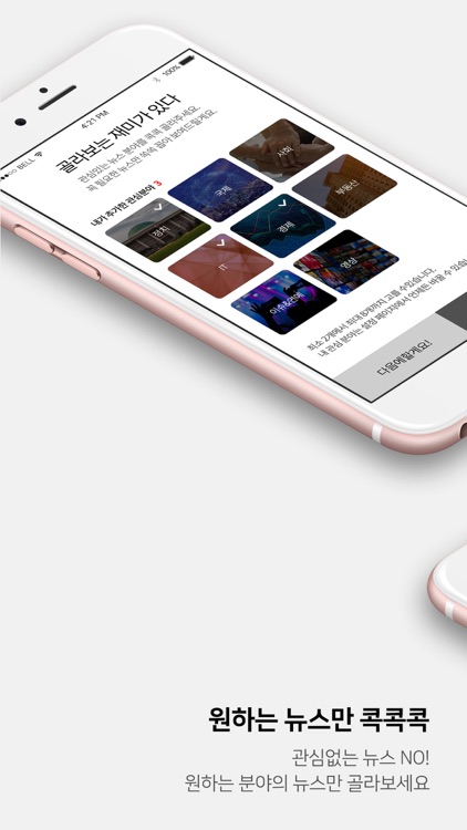 머니투데이 뉴스