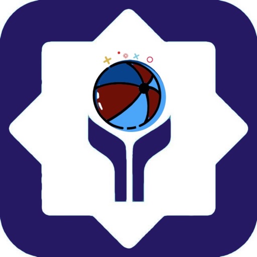 YBSport Basket-Record