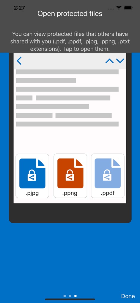 Azure Information Protection - 이 앱은 여러 유형의 보호된 파일을 지원하며, 화면 하단의 다양한 파일 형식 아이콘(.pjpg, .ppng, .ppdf)과 상단의 지원되는 확장자 목록이 그 포괄적인 기능을 보여줍니다.
