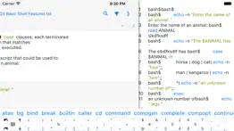 How to cancel & delete bashi$ - programming language 2
