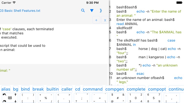 bashi$ - programming language screenshot-4