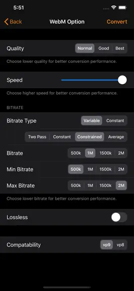 Game screenshot Video 2 WebM Cross Converter hack