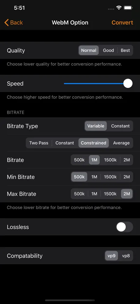 Video 2 WebM Cross Converter