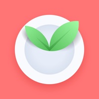 Tracker de Jeûne Intermittent pour PC