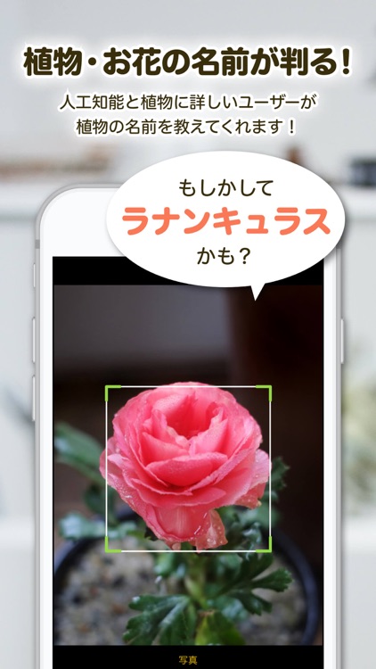 GreenSnap - 植物・花の名前が判る写真共有アプリ screenshot-0