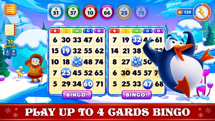 Bingo Christmas Holidays 2024