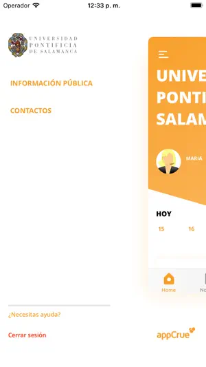 UPSA - Pontificia de Salamanca screenshot 3