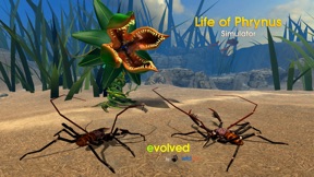 Life of Phrynus - Whip Spider screenshot
