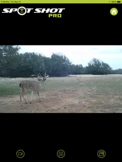 SME Spot Shot Pro iPad image 3