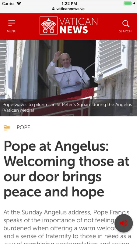 Vatican News screenshot 3 of 4