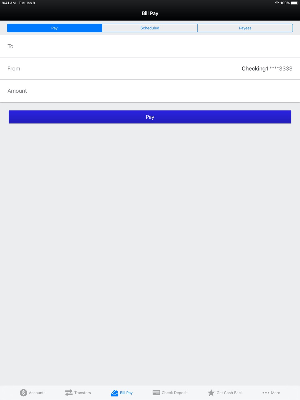 iPad screenshot