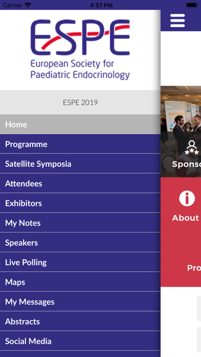 ESPE 2019 screenshot 2