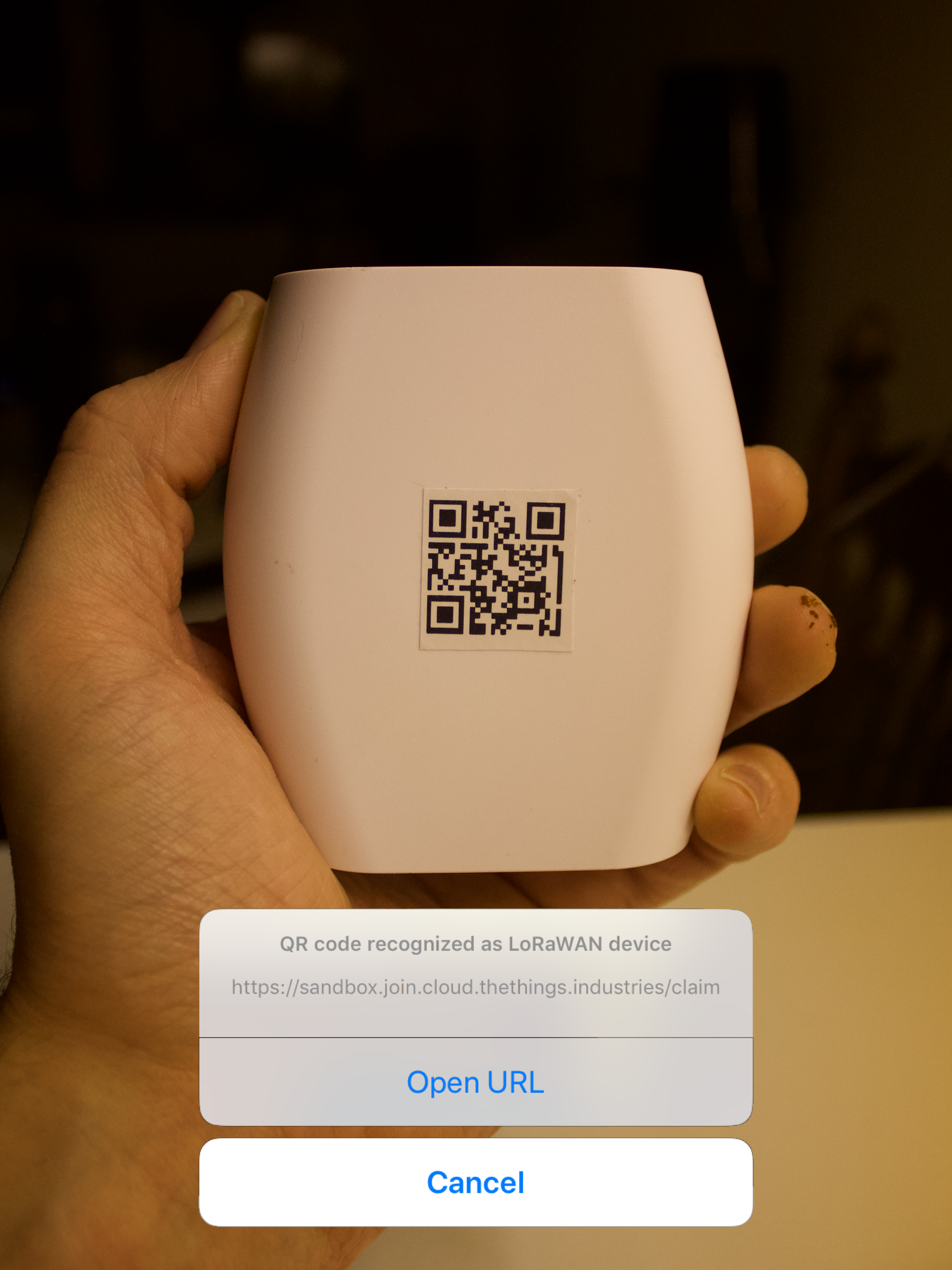 IoT Scanner