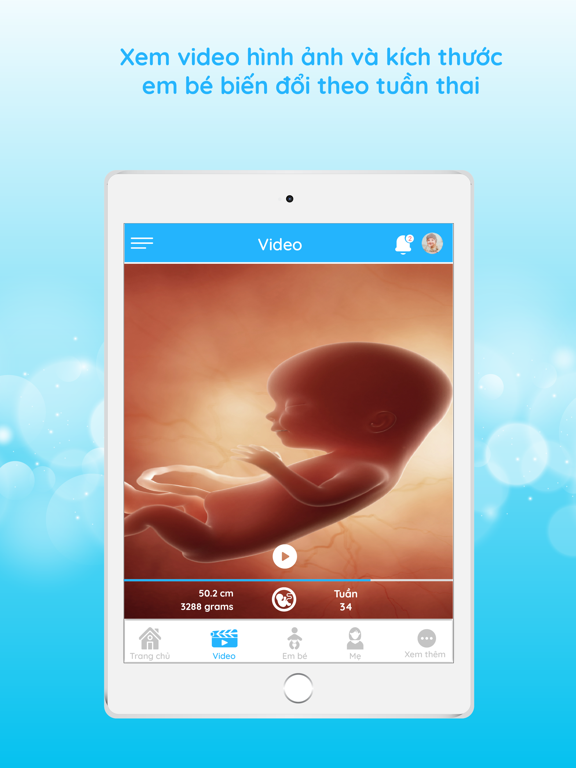 Screenshot #6 pour MomTour - Hành trình làm mẹ