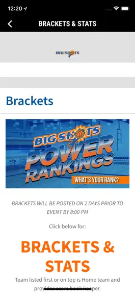 Game screenshot BigShots Nation apk