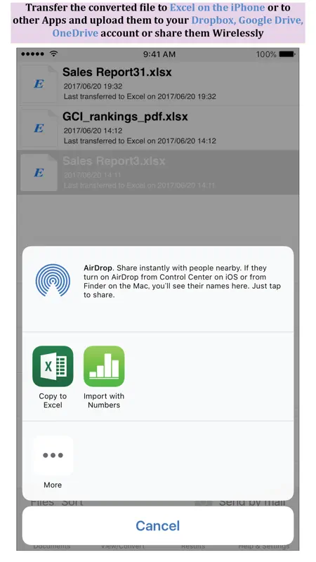 PDF to Excel by PDF2Office screenshot 4 of 4